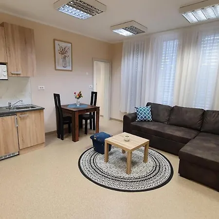 Apartamento Apartmaji Branko *